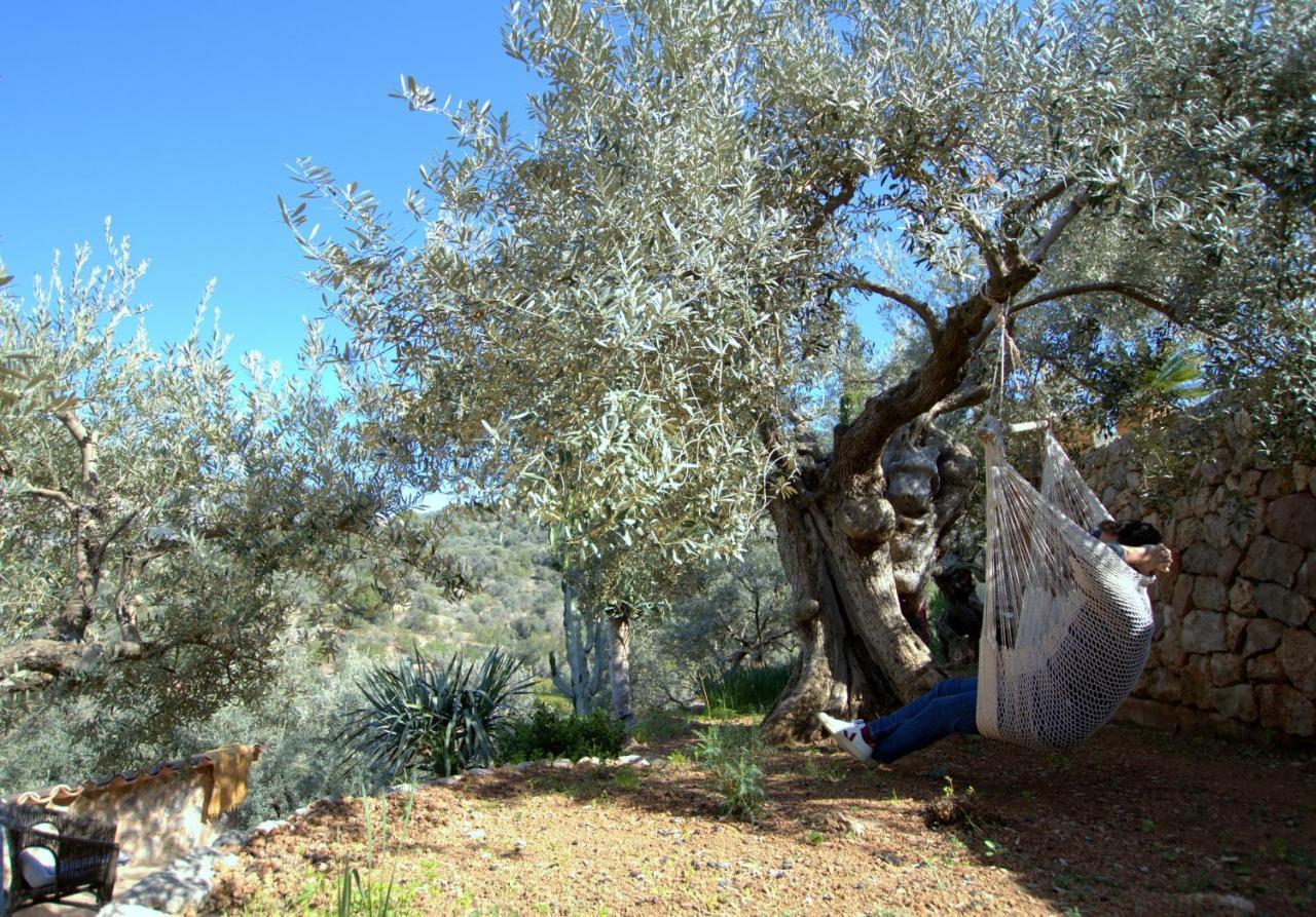 Villa Rustica S'Oliveret Sóller Exterior foto